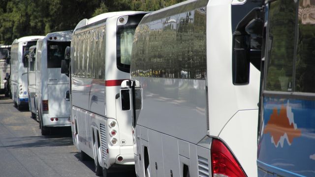 buses coaches row