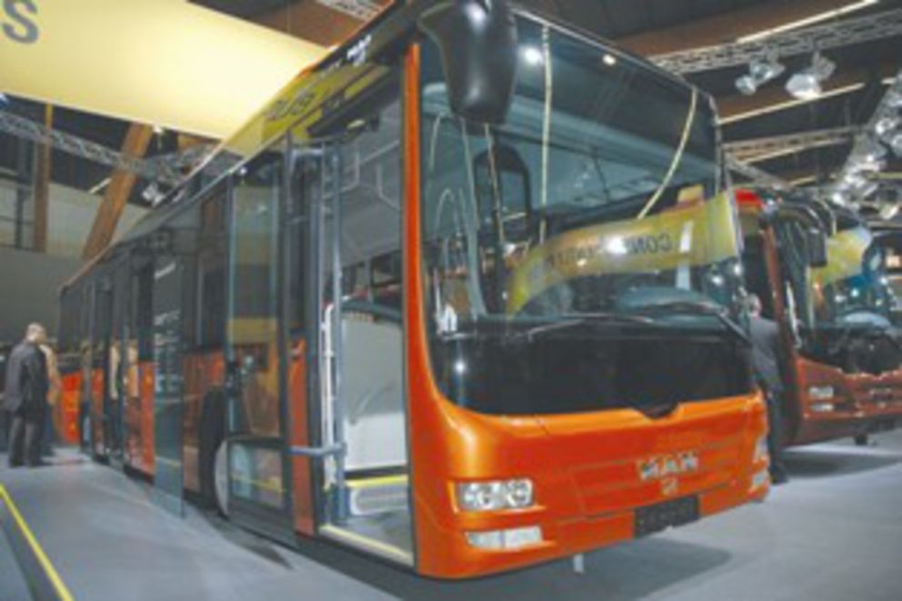 Man Lion's Regio C