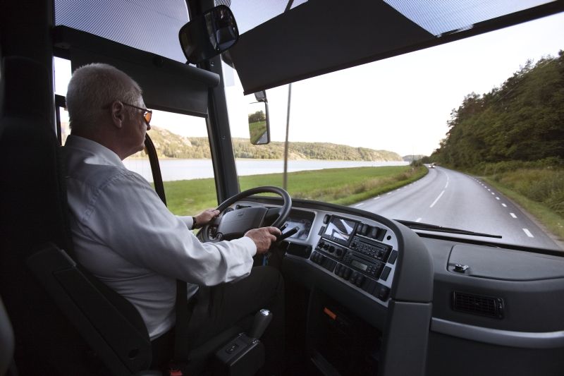 bus driver 
