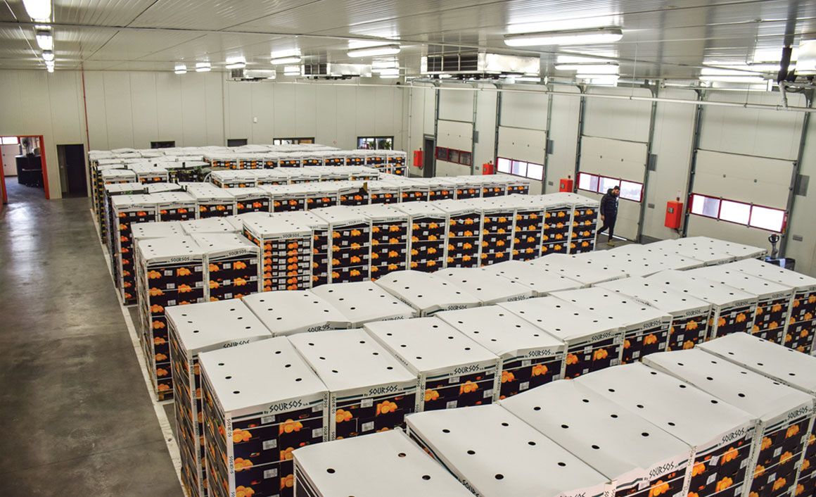 Καθημερινά η μονάδα Logistics διοχετεύει στο εξωτερικό έως και 20 μιξ φορτία.