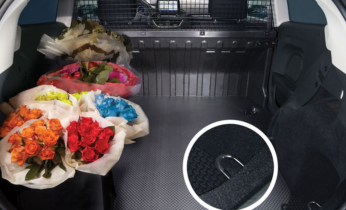 Το Fiesta Van EcoBoost Hybrid κατασκευάστηκε για να συνδυαστεί η απόδοση ενός βενζινοκίνητου οχήματος, με την κατανάλωση ενός μοντέλου πετρελαίου. Ο όγκος του χώρου φόρτωσης παραμένει στο 1,0 κ.μ. και το ωφέλιμο φορτίο ανέρχεται σε 531 κιλά.